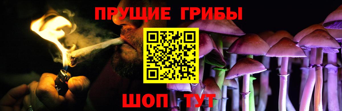 Псилоцибиновые грибы Psilocybine cubensis Топки